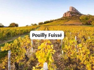 Pouilly Fuisse (800 x 600 px)